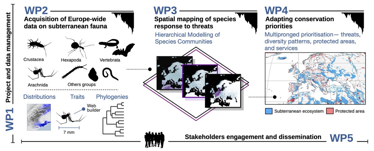 Please RT: Interested in the conservation of subterranean biodiversity? Wanna work with a multidisciplinary team – @biodiv_DarCo? I've opened a postdoc with me at @MEG_Verbania (20 months, extendable). Deadline: 22 Mar 2024. Feel free to contact me for details + info below