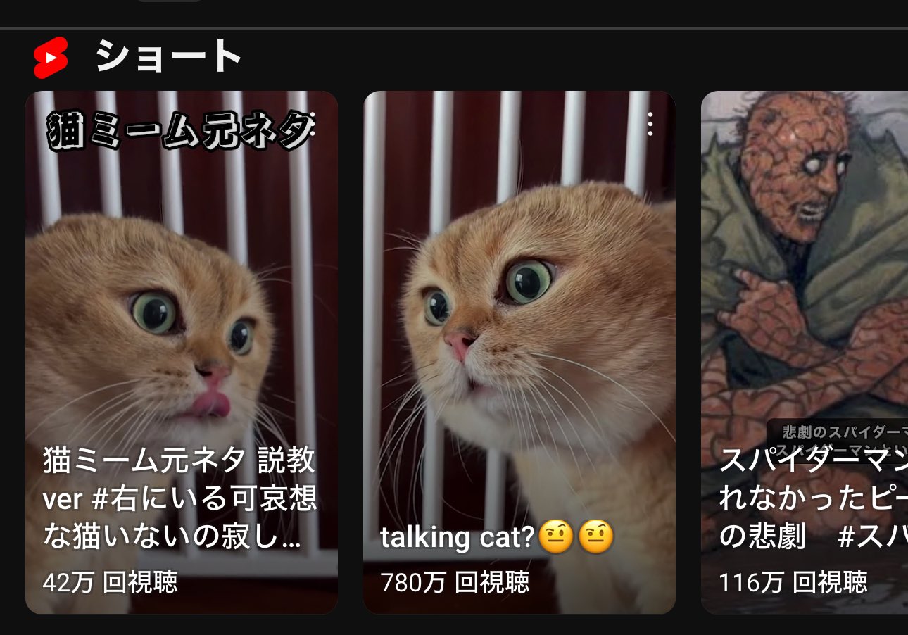 X-এ たぬき提督: 