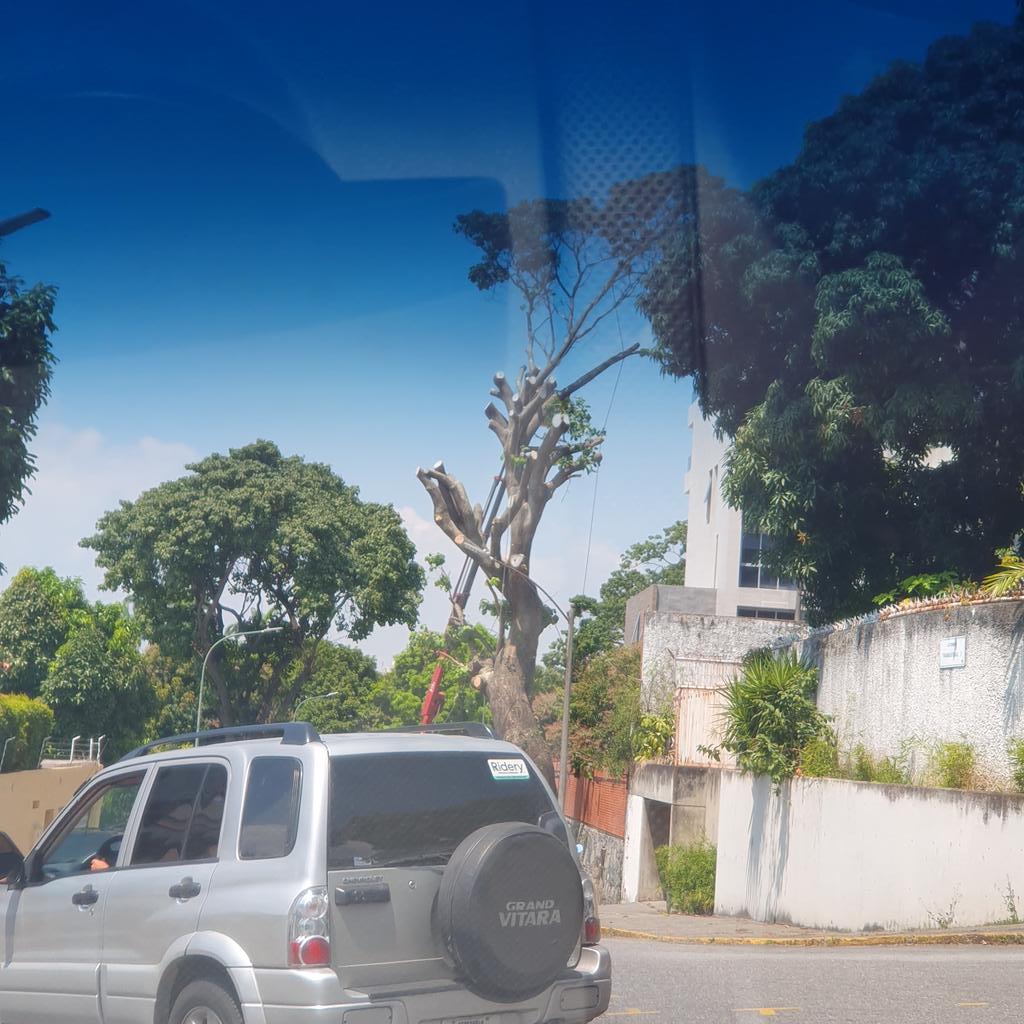 Hasta cuando <a href="/Chacao/">Alcaldía de Chacao</a>