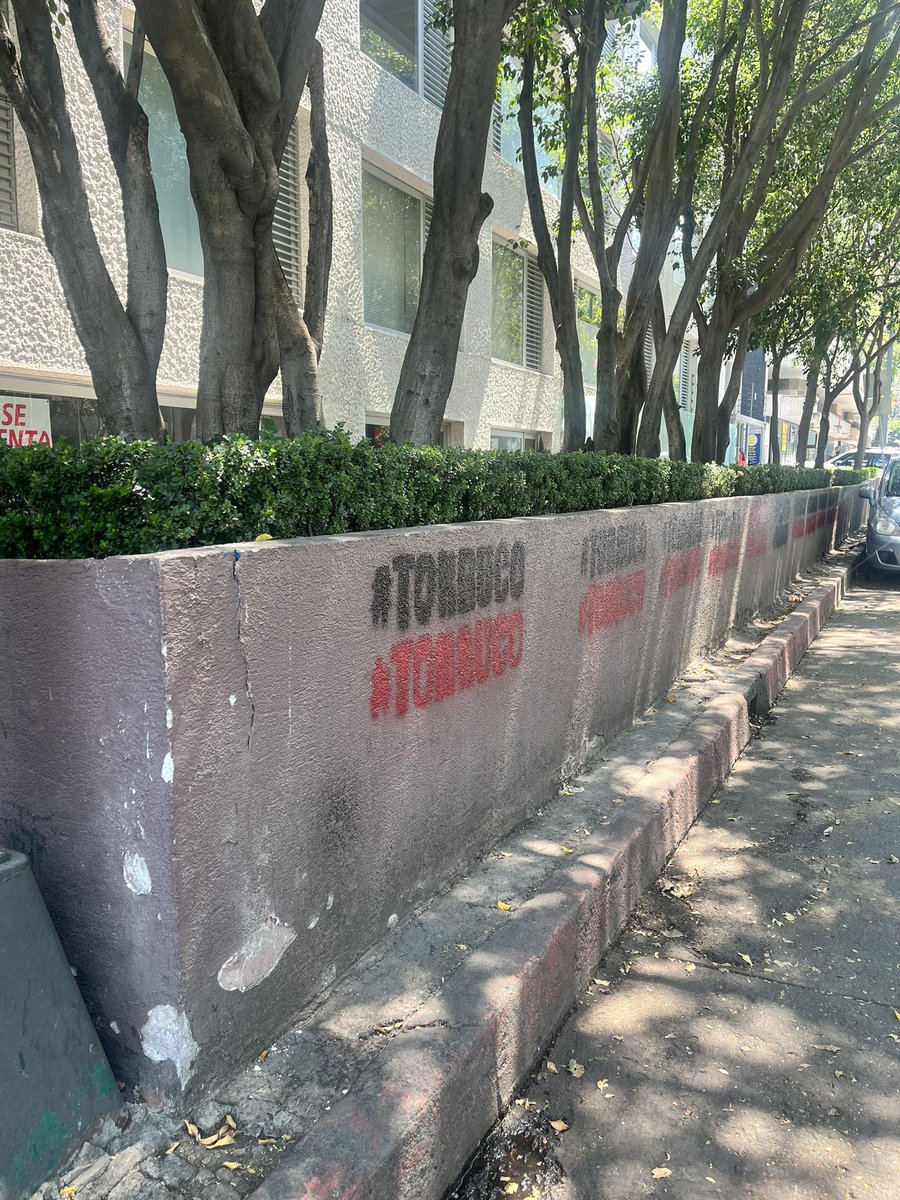 @MiguelTorrucoG Así amaneció mi jardinera!! SIN PERMISO!! claro que lo conozco señor, no es necesario pintar casas en las madrugadas para pedir el voto vecinos!! Quien le esté aconsejando esto CORRALO 🙏🏻🙏🏻 @PolancoCDmx @AlcaldiaMHmx @iecm @PolancoLomas