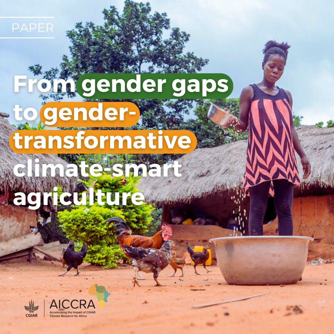 Gender transformation requires scalable, enabling mechanisms &amp; research should focus on what constitutes effective scaling and for whom.

In a new article, <a href="/sophiahuyer/">Sophia Huyer</a>, <a href="/amloboguerrero/">Ana M. Loboguerrero</a>, Nitya Chanana &amp; Olga Spellman explore a synthesis of research on gender transformation that