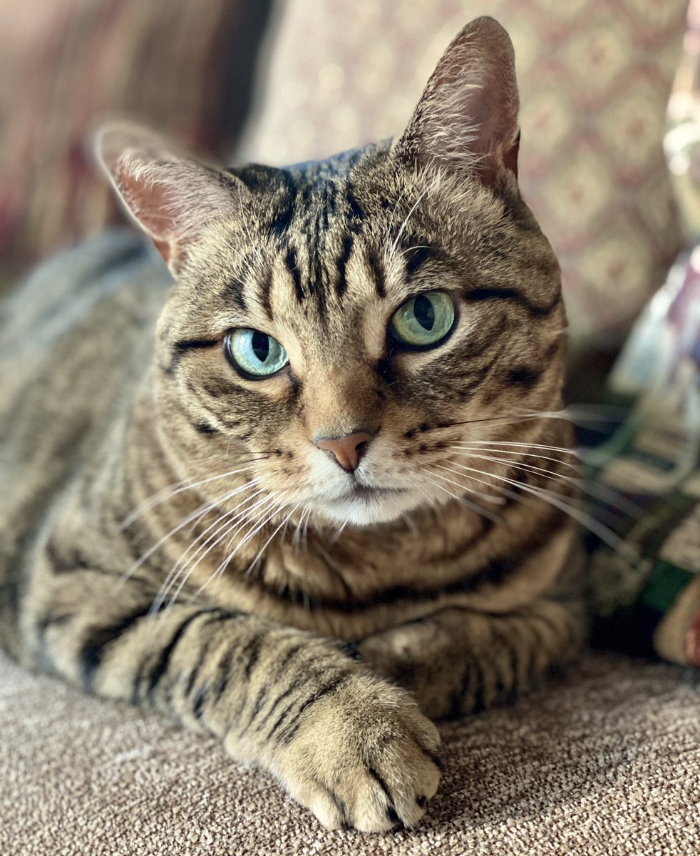 The key to happiness? 
Surround yourself with animals and stay away from mean humans.