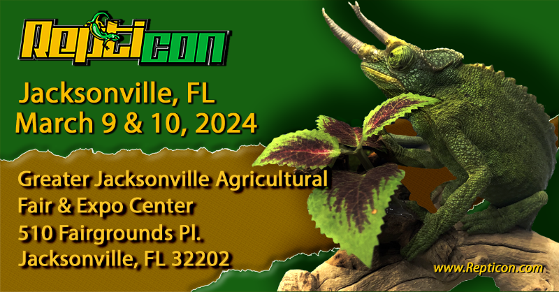 Repticon's tweet image. Repticon Jacksonville is a great event for the whole family!