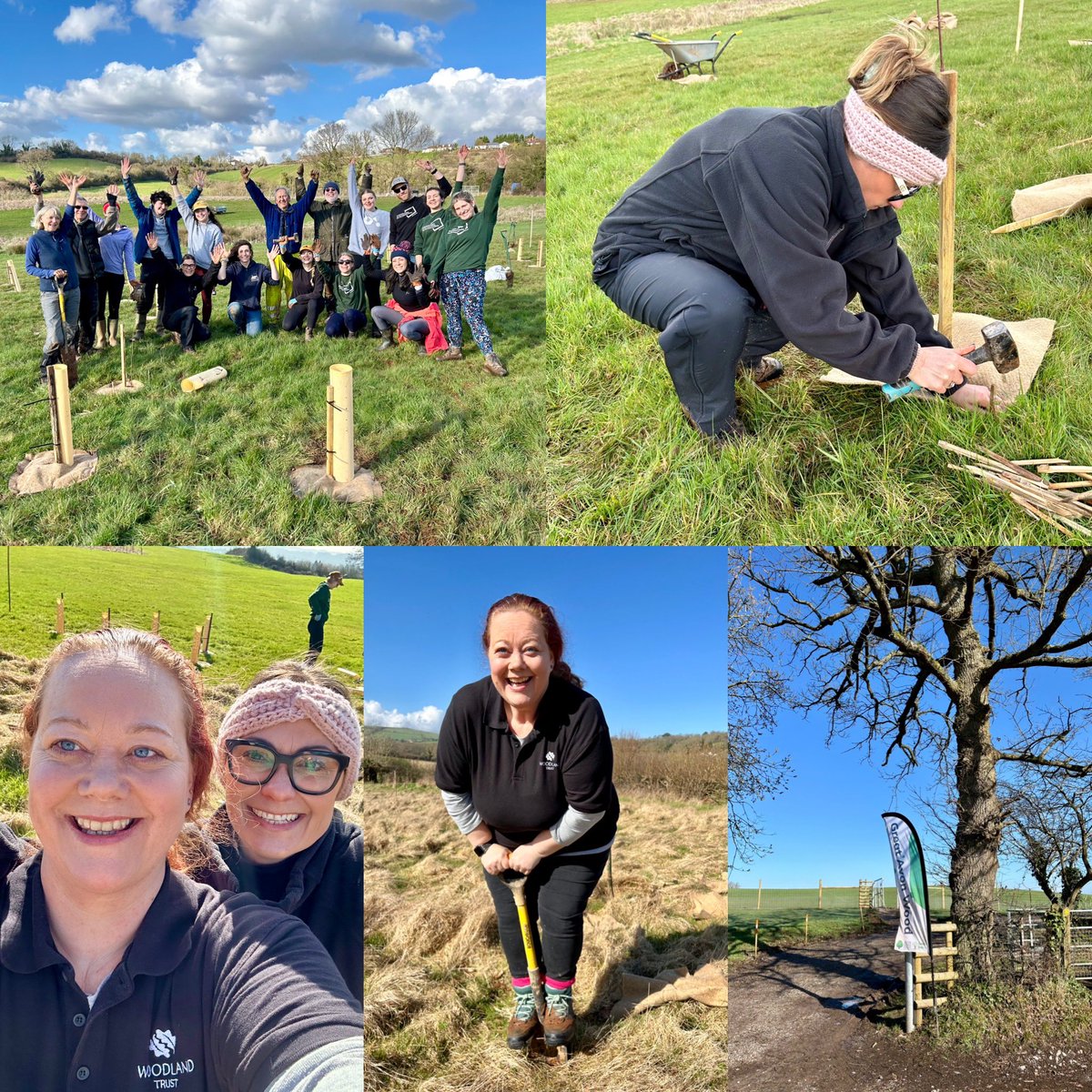 Great day tree planting with @AvonNeedsTrees with our partner @OVOEnergy in the sunshine today 🌳☀️ @WoodlandTrust #treeplanting #naturerecovery #biodiversity