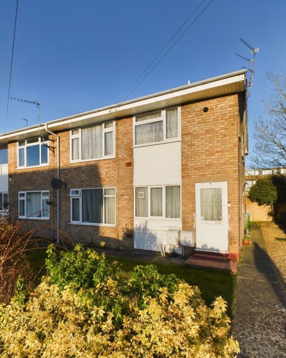 Network Auctions tweet media