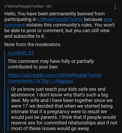 reddit_lies's tweet photo. Redditor was banned for saying "teach your kids abstinence" https://t.co/NqnX2dTglC