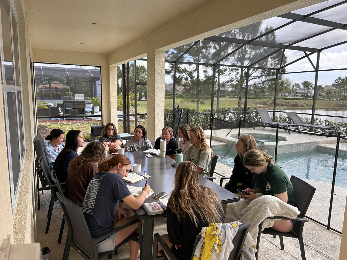 King University Softball tweet media