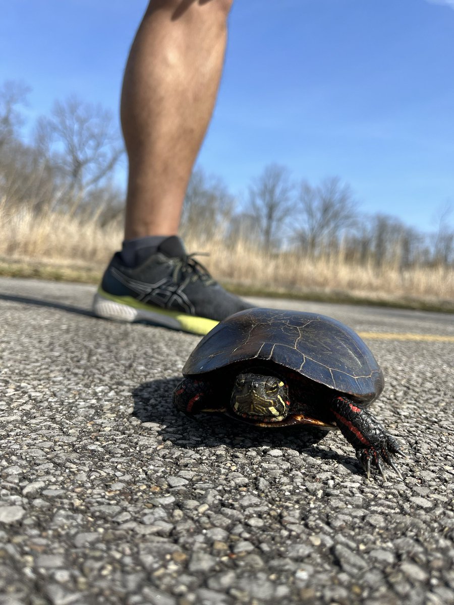 ConvoyDetroit's tweet image. #PoderosoIncreíble Saludos desde Ohio. La rola de Justice 😍