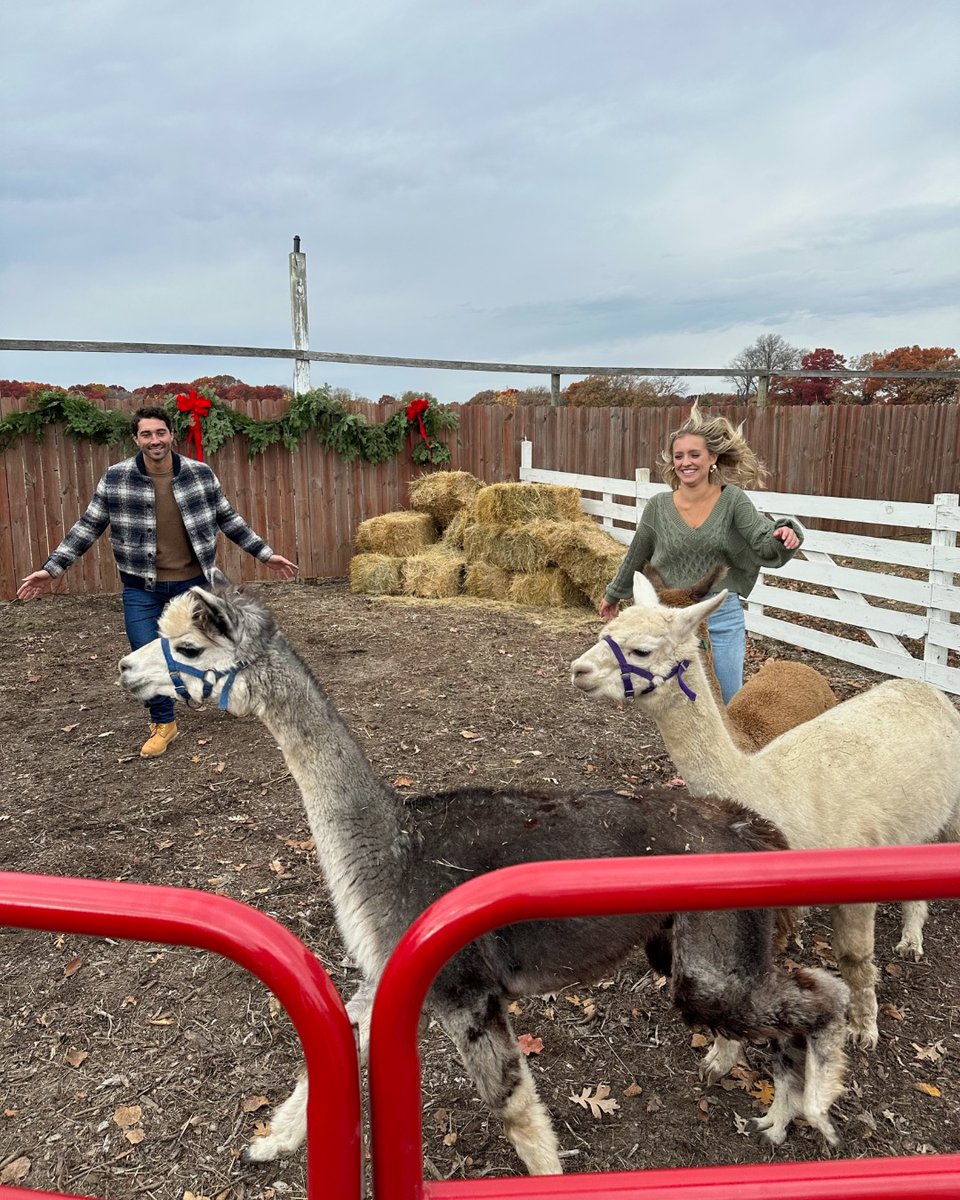 bachnation's tweet image. &quot;Don&apos;t miss me too much!&quot;
&quot;I will&quot;
🥹 #TheBachelor