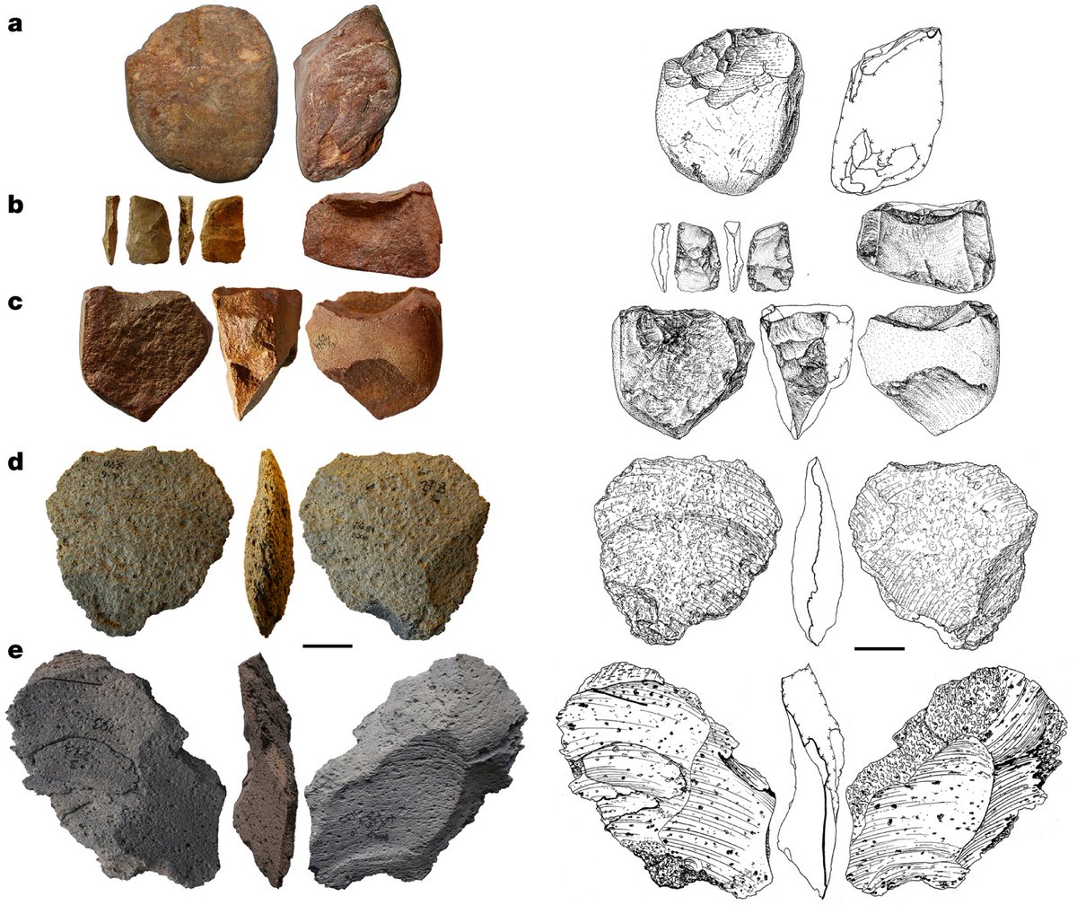 Our study 'East-to-west human dispersal into Europe 1.4-million-years-ago' was just published online in @Nature !!! nature.com/articles/s4158… Thank you to all participating institutions! @UJF_AVCR @HZDR_Dresden @ARUBrno @GFU_AVCR @latrobe @AarhusUni @aru_praha @UniKarlova