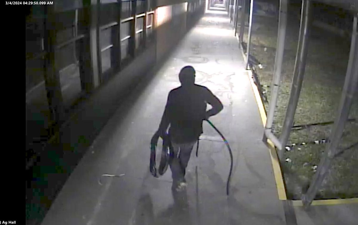 CCISD Police (@ccisdpolice) on Twitter photo <a href="/CCISDPolice/">CCISD Police</a> need you help identifying individuals that caused over $100,000 worth of damage to the old Carroll High School. Security footage show the suspects on the morning of March 4th.
Any info can be submitted to 361-886-9275 or submitting a tip to Crime Stoppers. <a href="/CCISDPolice/">CCISD Police</a> need you help identifying individuals that caused over $100,000 worth of damage to the old Carroll High School. Security footage show the suspects on the morning of March 4th.
Any info can be submitted to 361-886-9275 or submitting a tip to Crime Stoppers.