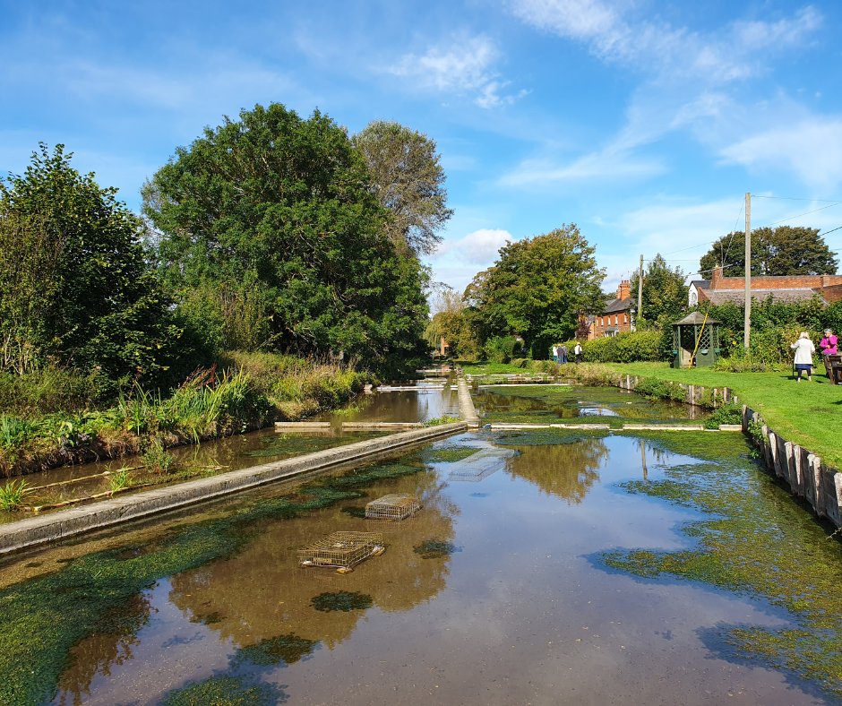 ChilternSociety's tweet photo. Wild about Benson are celebrating nature this weekend at their nature extravaganza - find out what's going on locally to look after the precious wild places in the area of South Oxfordshire, including our site Ewelme Watercress Beds. For more info go to https://t.co/hXeFAyYlut https://t.co/po6Q0Bznhf