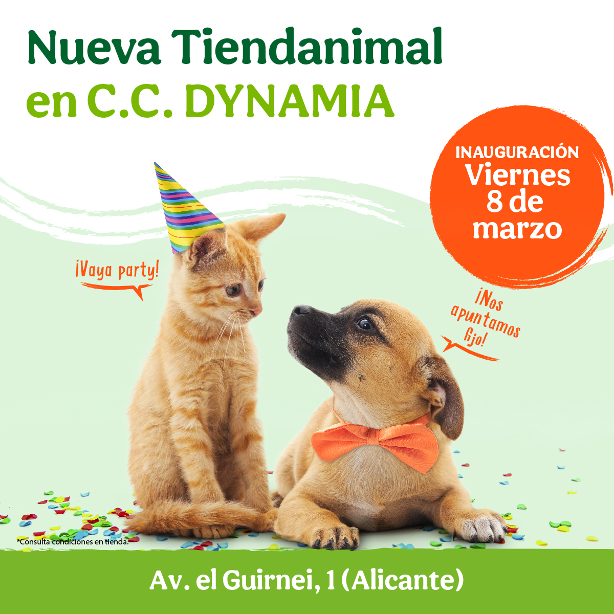 ¡NUEVA TIENDA EN C.C. DYNAMIA!💚 ¡El 08/03 abrimos nueva Tienda en Alicante! Nuestro equipo está deseando mostraros este nuevo espacio, donde os brindarán la mejor atención a ti y a tu peludo.🐾

¡Y con fiesta de inauguración incluida! 🥳 ¿Vienes a celebrarlo con nosotros?