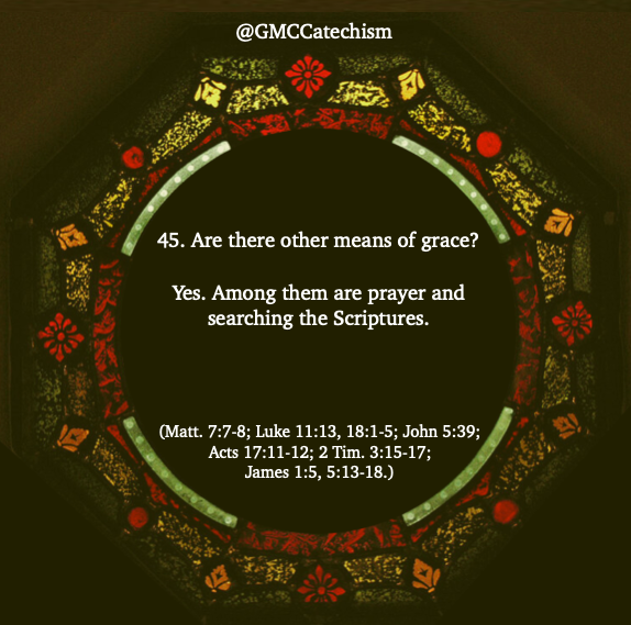 GMCCatechism's tweet photo. What do Global Methodists believe? Learn more at:
https://t.co/yvJxu3cDid https://t.co/nZq9NfcEDp
