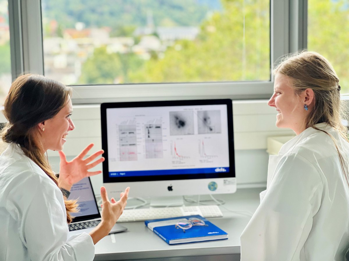 🔬👩‍⚕️ Are you a physician with a passion for #CancerResearch? 💡 Then the DKFZ Clinician Scientist Fellowships are for you! Apply till March 15th! 🔬 More at dkfz.de/clinicianscien…