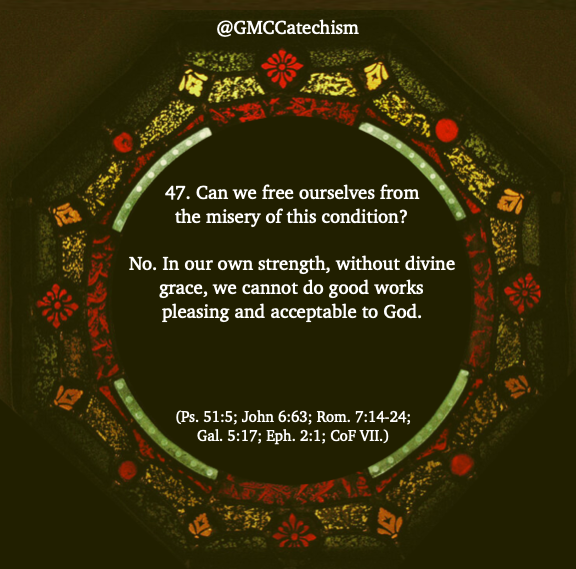 GMCCatechism's tweet photo. What do Global Methodists believe? Learn more at:
https://t.co/yvJxu3c5sF https://t.co/z5ryqPPpe3