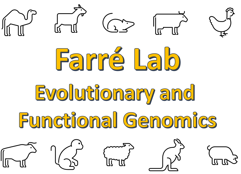 Join us on Tuesday 12 March 1pm in SLT1 where @marta_f_b will present her lab's work on 'Genome evolution in mammals: from marsupials to antelopes, and all the way to mouse'. For more info visit Farré lab: bit.ly/3T3c4kM