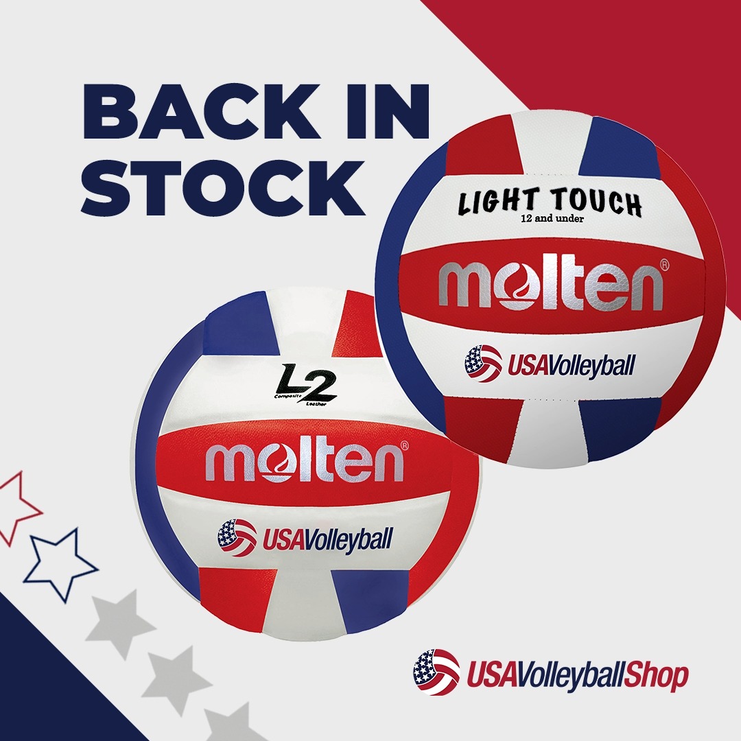 Usa best sale volleyball ball