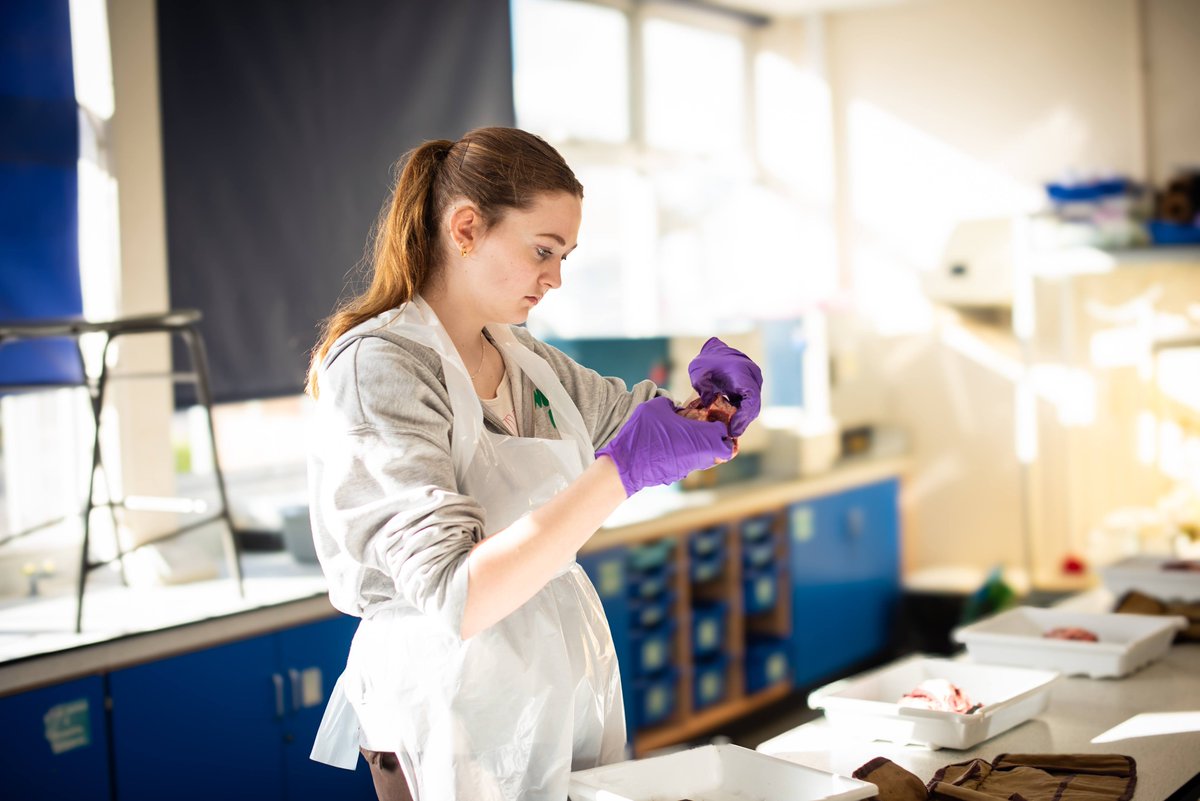 Fullbrook tweet media