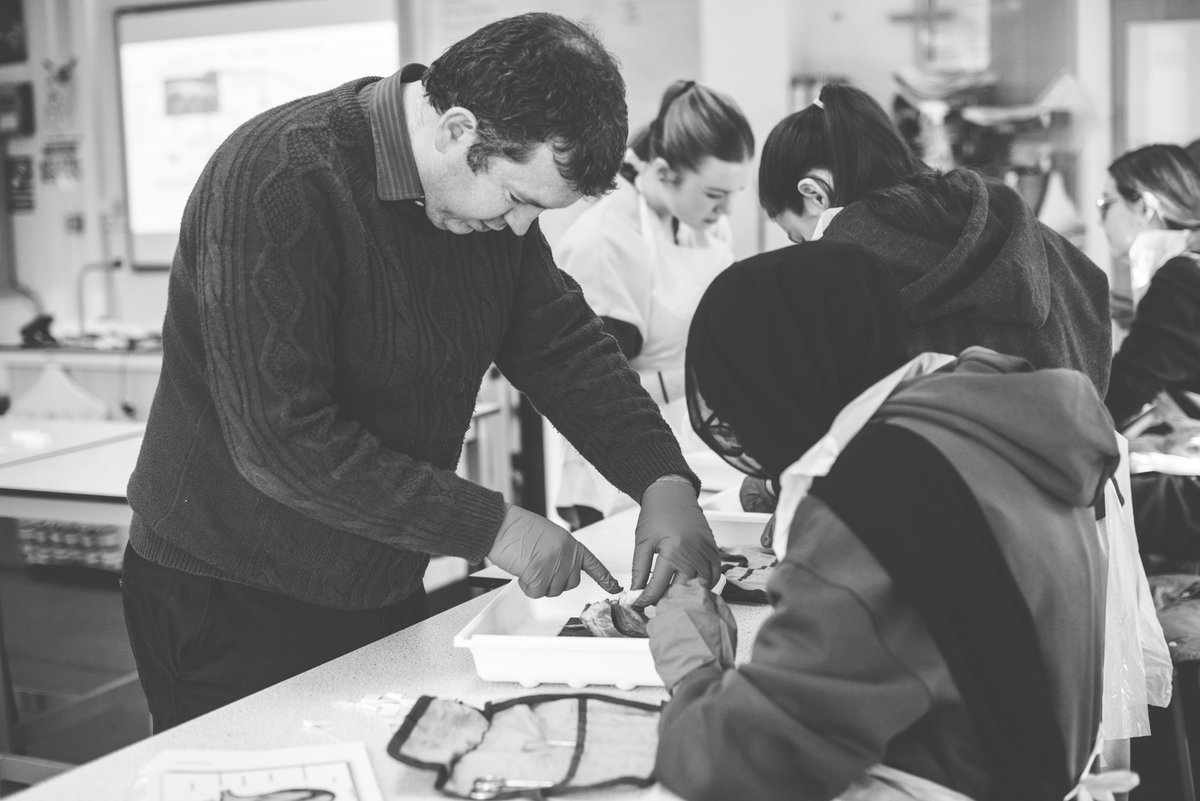 Year12s during their heart dissections. Students learn to identify the different parts of the heart and how they interact and function as a unit.
#studentsuccess #Post16 #College #SixthForm