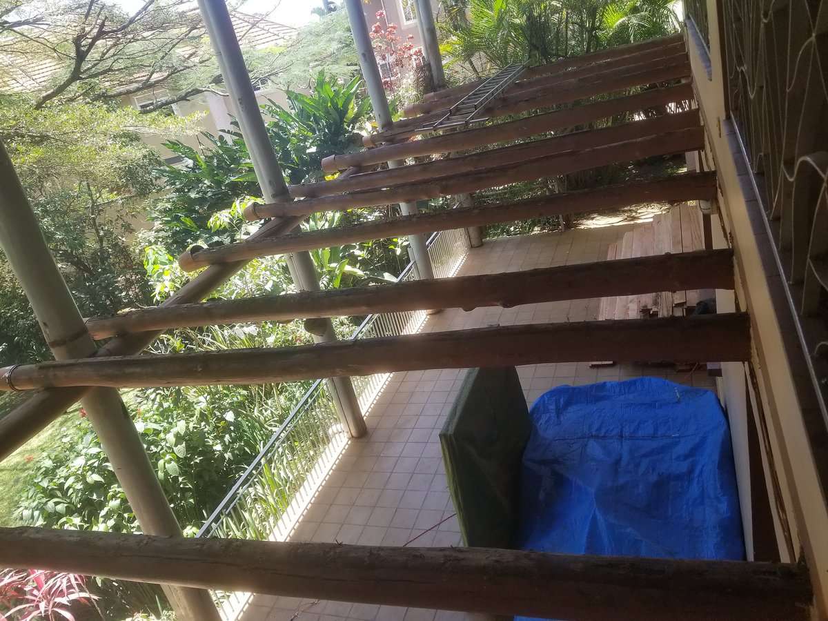 StockworthUG's tweet photo. Wooden Deck Replacement 

#wood #mahogany #design #Trending #trend #Uganda #ug https://t.co/CtCQs9Z1CH