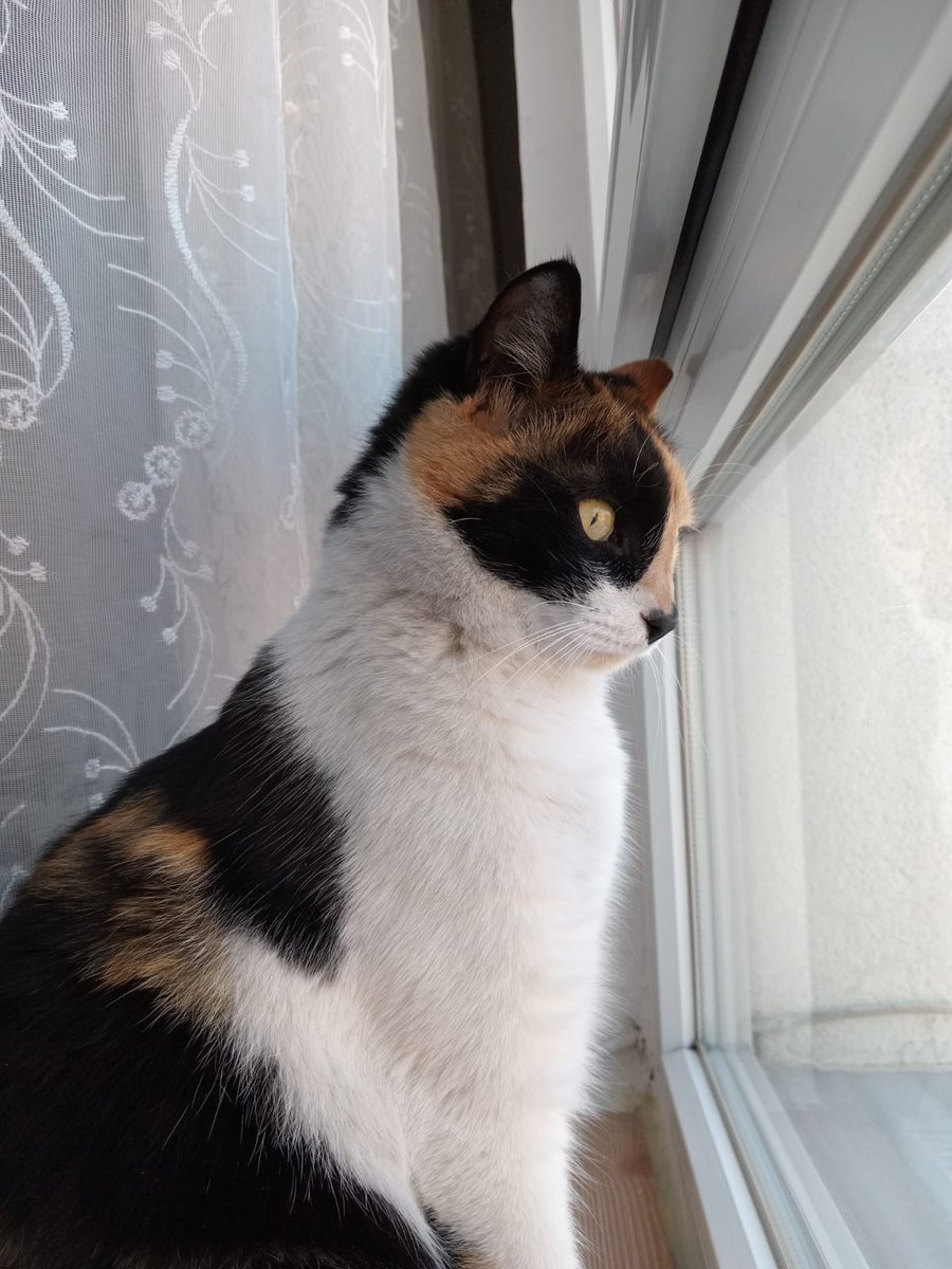 sedef (@sedefmsi) on Twitter photo 