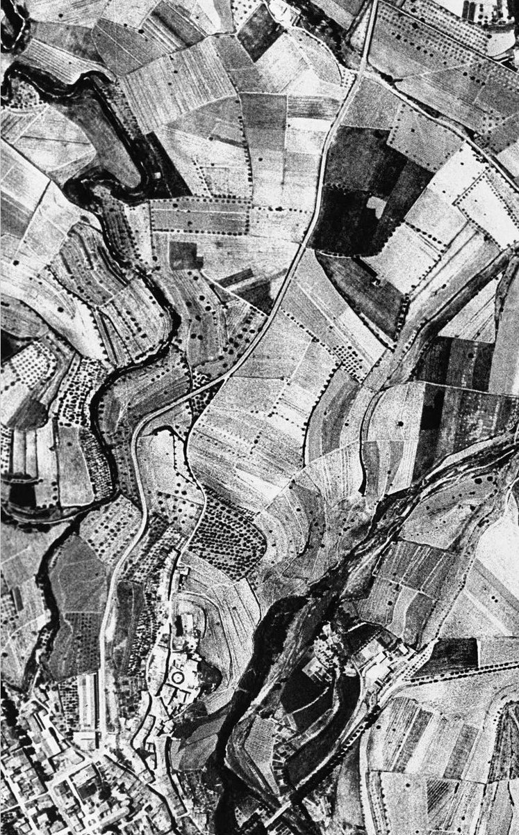 DO Pla de Bages tweet media