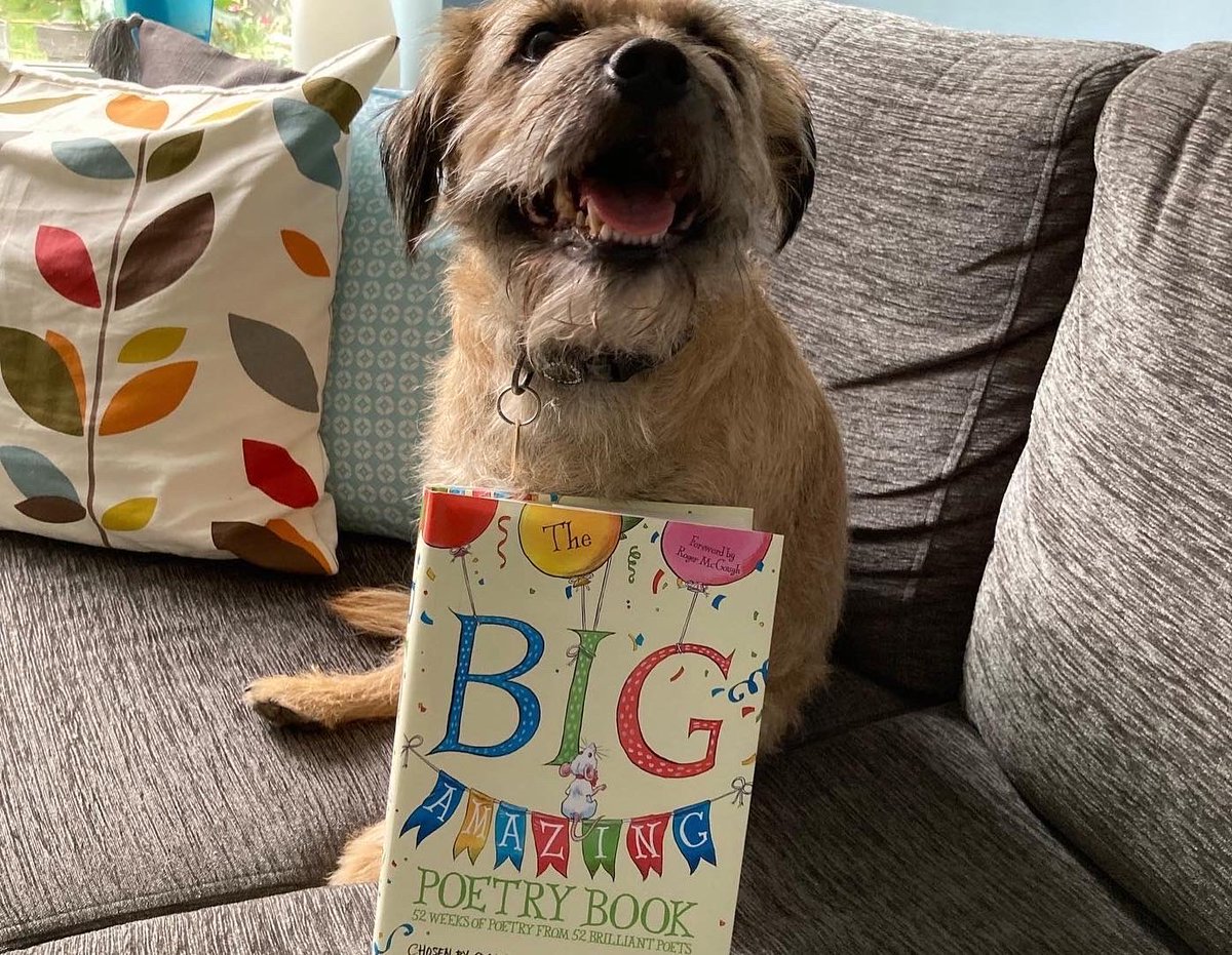 @traceya75 @ChristChurchPr2 @son1bun @Literacy_Trust @PieCorbett @KurlyMc Here are a couple of pics to prove I make the same reading choices as my dog. Sadly, he doesn’t have pyjamas.