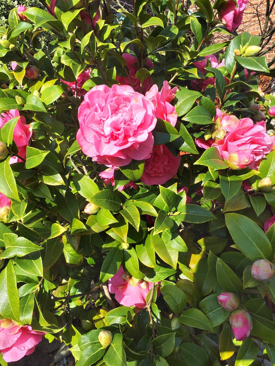 Mark Claflin 🇺🇦 tweet media