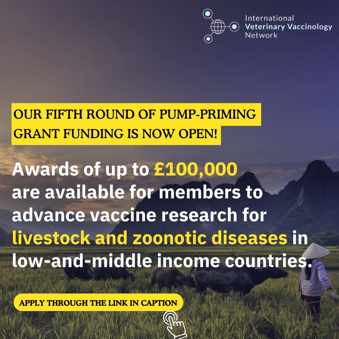 Pirbright_Inst's tweet image. 📣Calling all @IntVetVaccNet members!

Do you want to advance your vaccine research?

Secure a grant of up to £100,000, apply now (deadline 29 April 2024) ➡️ow.ly/boxw50QJekY