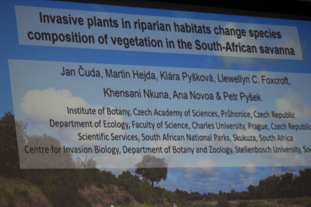 Presentation by Jan Čuda: Invasive plants in riparian habitats change species composition of vegetation in the South-African Savanna #SSNM2024