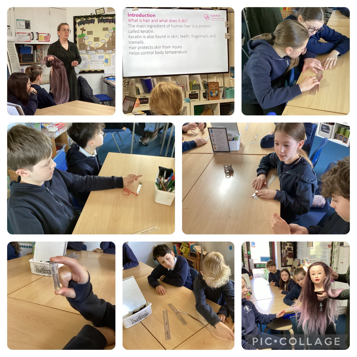 A fantastic insight into the work of forensic scientists, we had no idea how much evidence is stored in our hair. Diolch Abby from @cansford_labs. We all loved your presentation and exhibits. @EasStem