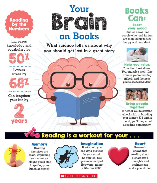 Did you know how many different ways reading books can benefit brain development?

Reading helps to:
⭐️vocabulary development
⭐️supporting memory
⭐️build imagination skills
⭐️lower stress levels and 
⭐️build bonds and attachments

Wow! We think this is amazing!