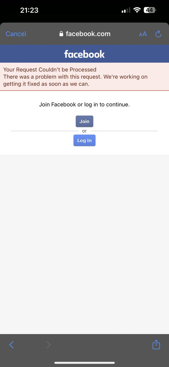 Carissa Kat tweet media