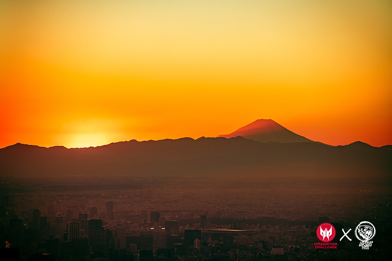 WANTED EVENT tweet media