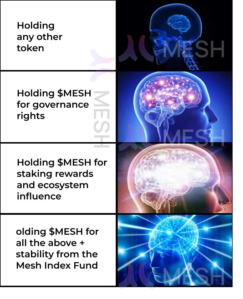 SatoshiScribes's tweet image. Feeling absolutely hyped for the @Mesh_Protocol&apos;s $MESH token launch on March 15th!    

This is a major leap forward for DEX Aggregation on  #Solana, and I can&apos;t wait to see what the future holds.

#MeshProtocol, $MESH, #MeshTokenLaunch