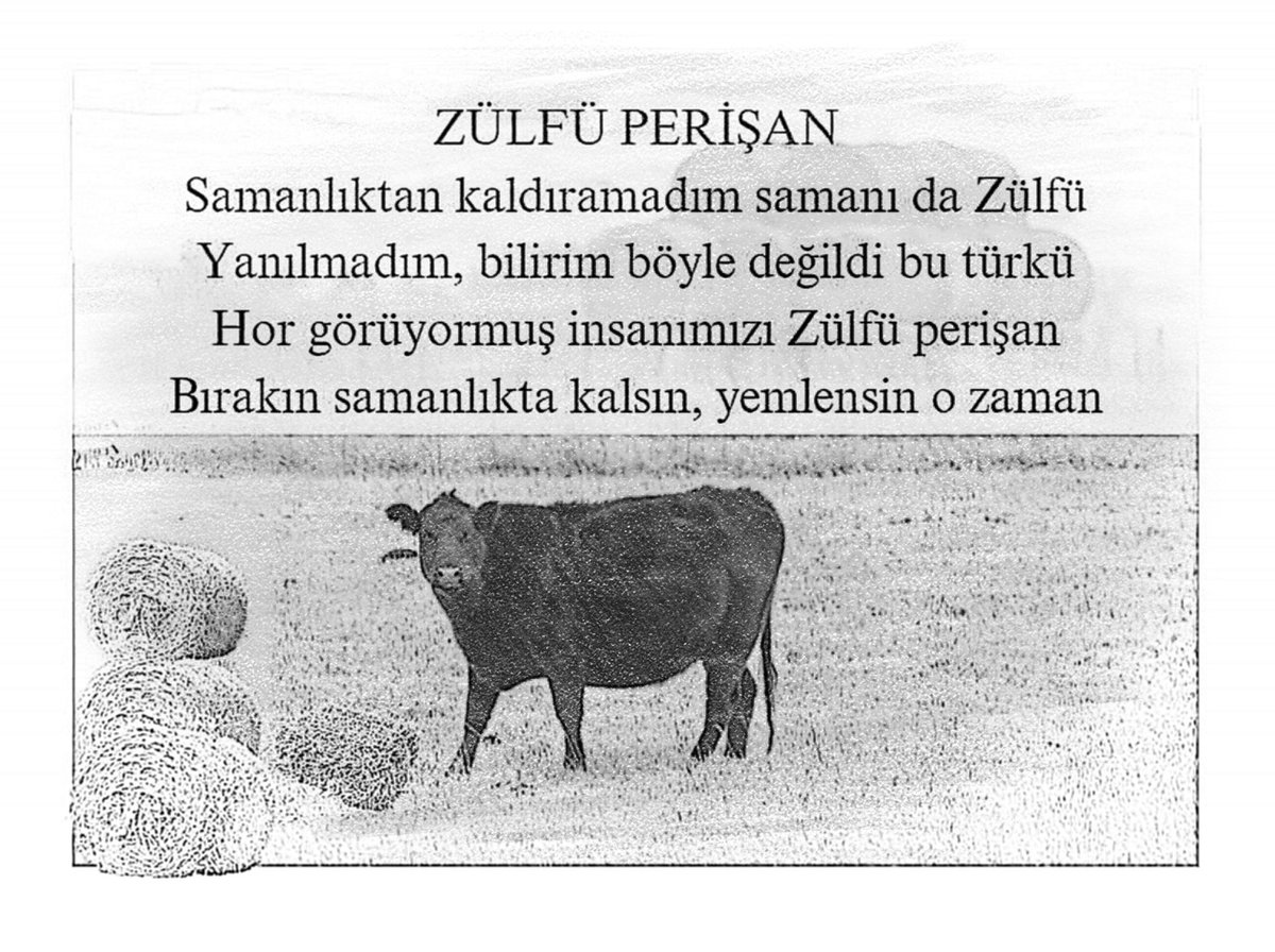 DİKİNE SÖZLER
(Anadolu insanını aşağılayan şapşala gelsin)