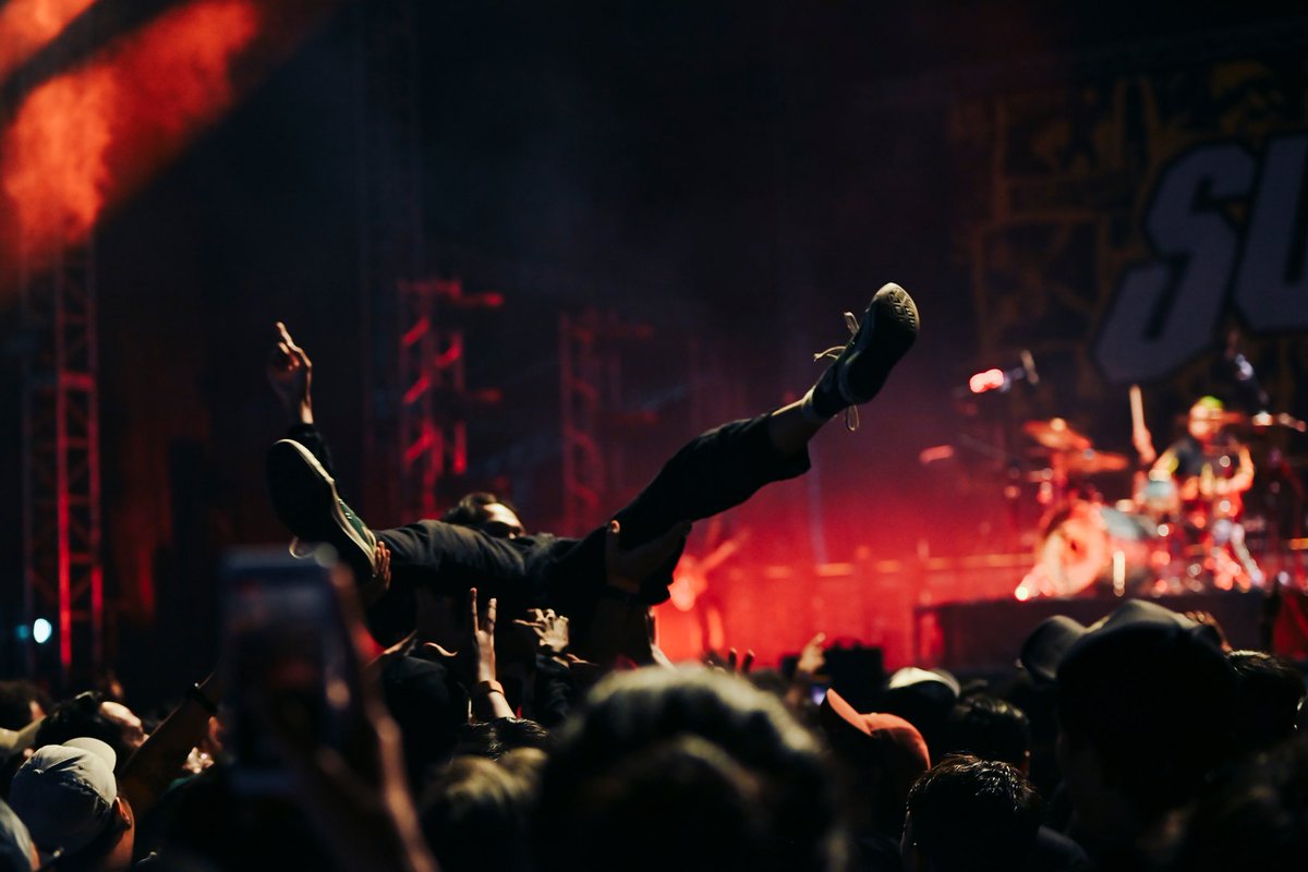 Wild Ground Festival tweet media