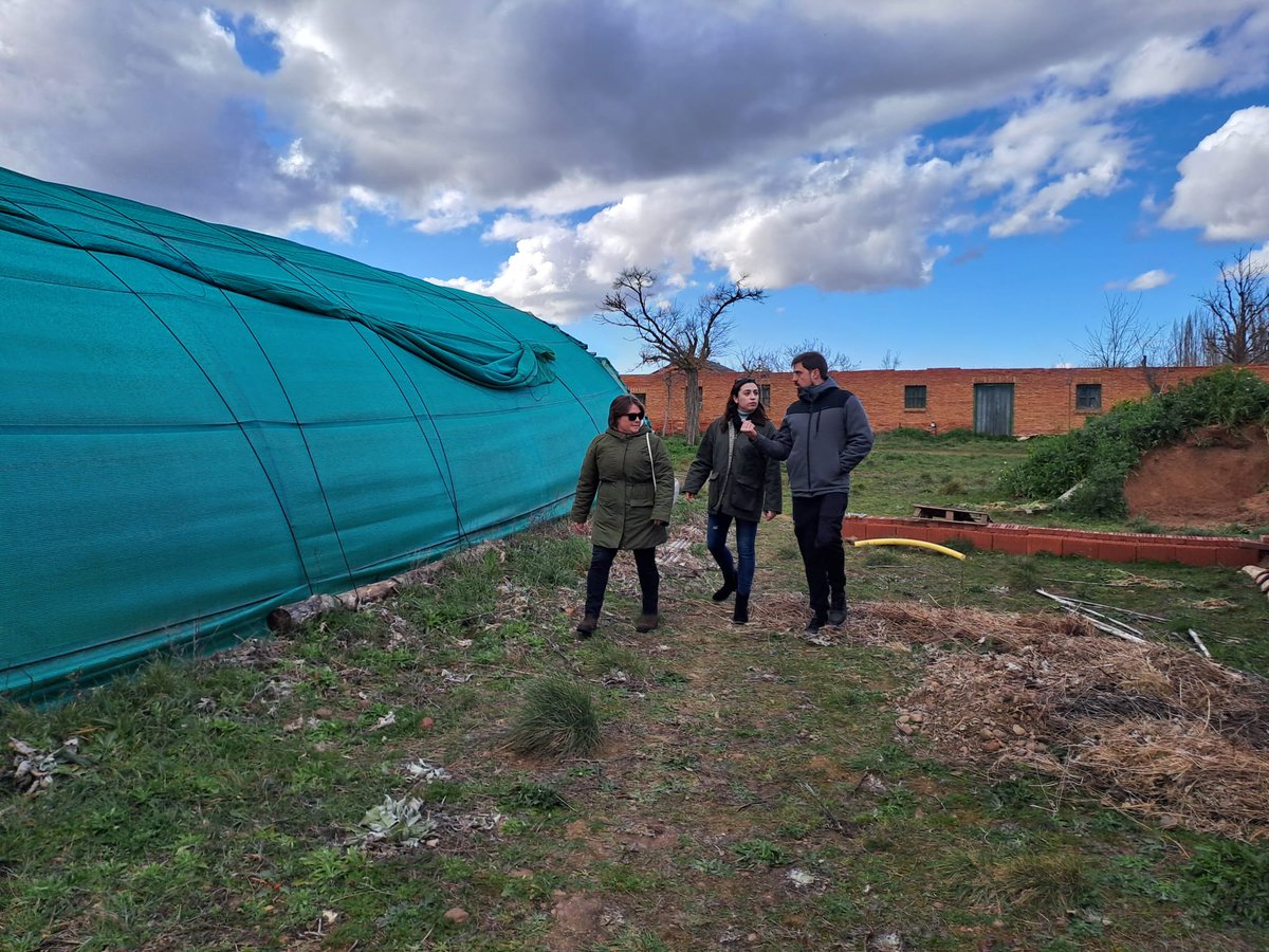 RAÍCES por UPA Joven tweet media