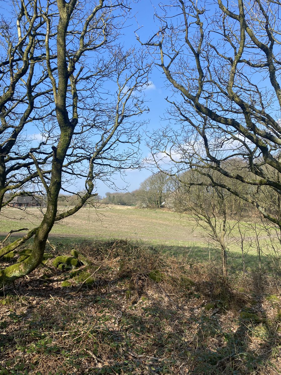 Beautiful views on our walk today up Billinge Hill 🌿☀️ <a href="/malvernprimary/">Malvern Primary School</a>