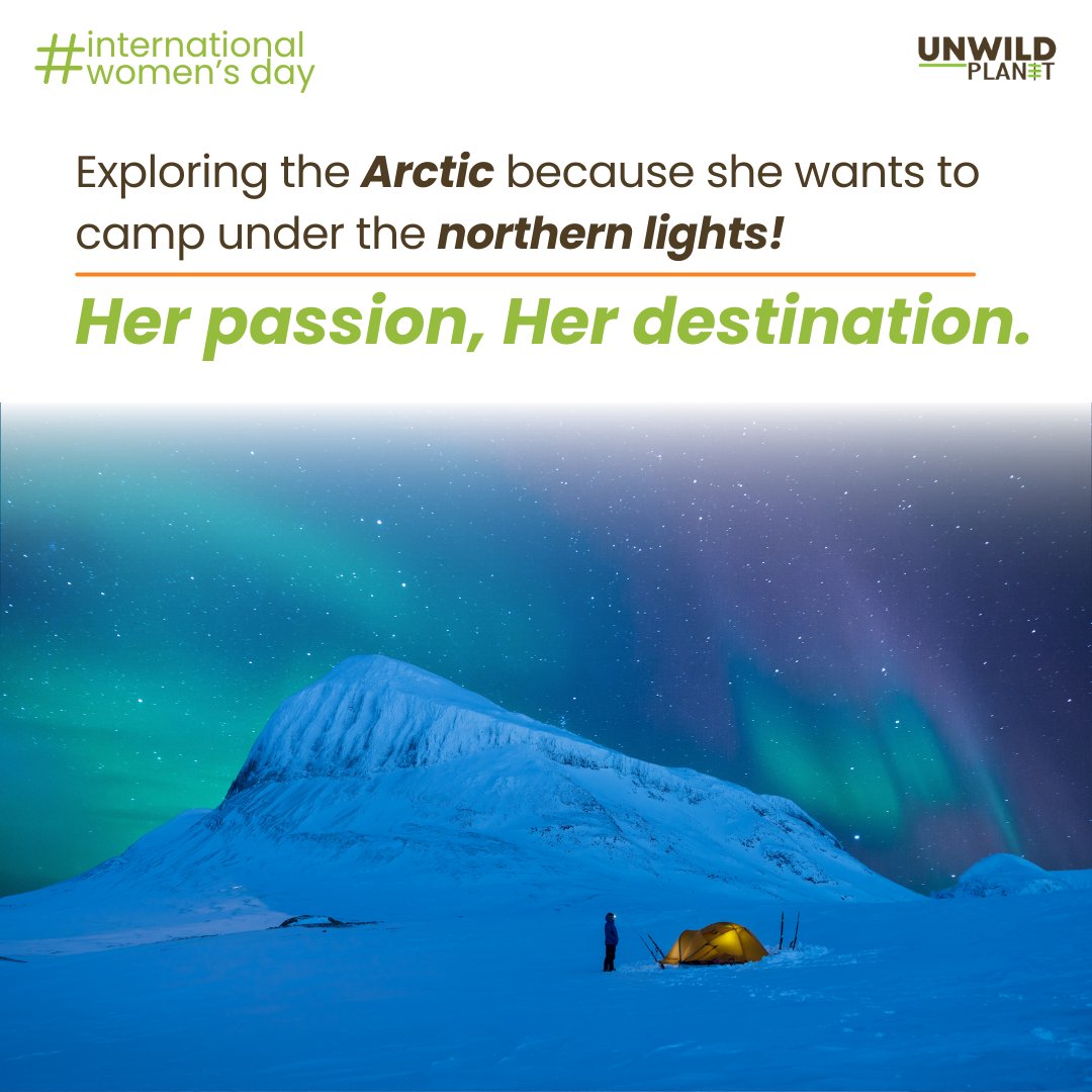 UnWildPlanet's tweet photo. She loves adventure, and she travels for it! Her passion to explore the northern lights takes her to the land of polar bears. This season, we celebrate her passion, her destination! Tag the first woman who comes to your mind after reading this. https://t.co/BRISAUFahD
