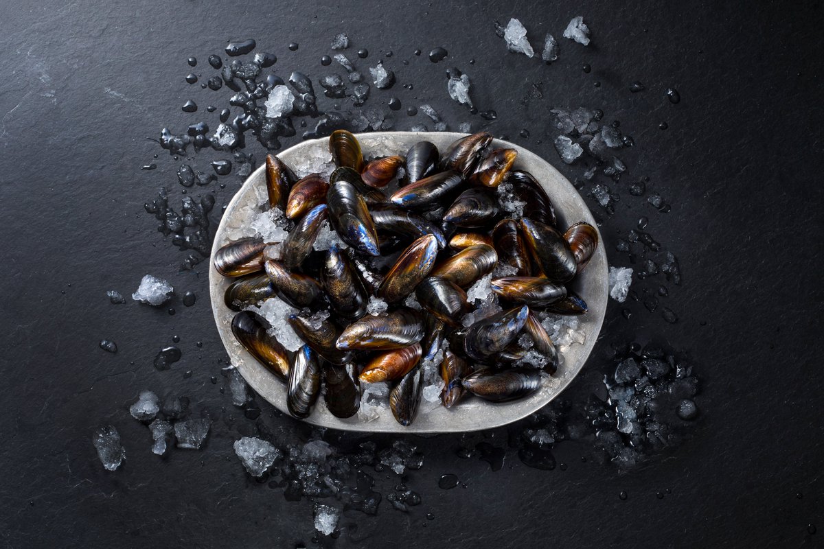 Don’t miss the March issue of @chefpublishing as Scottish mussels take centre-stage. Head to pages 30 to 34 to learn more about what makes Scottish mussels so renowned, and how our pristine, cold waters harbour the perfect environment for them to thrive. flipsnack.com/chefmagazine/c…