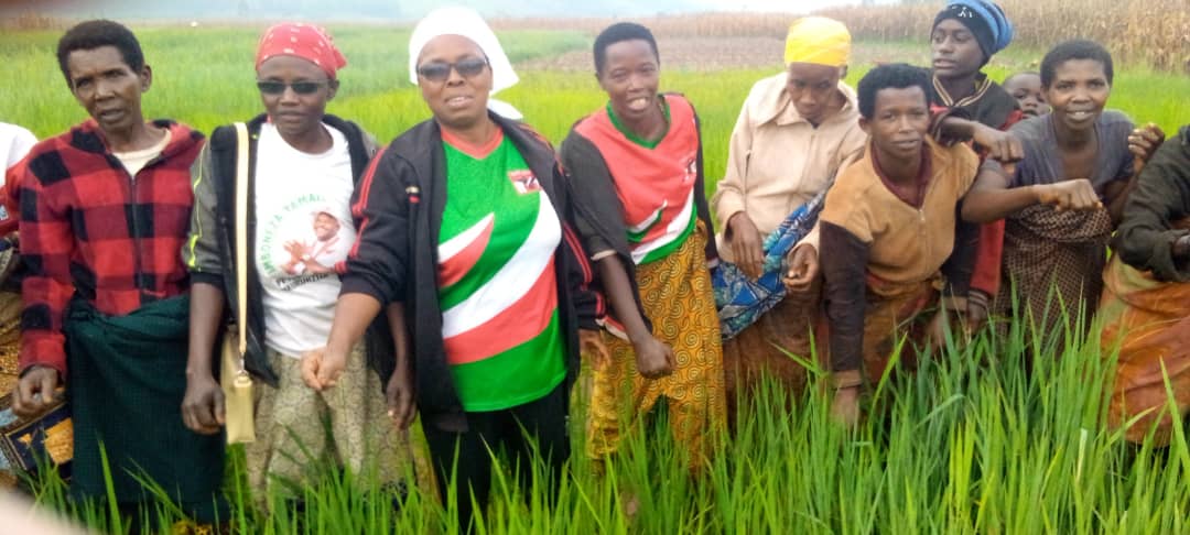 CnddFddButanyer's tweet photo. 06/03/2024 uwurongoye umuhari w'AbakenyereraRugamba muri komine #Ngozi #HatungimanaAlvère yafadikanije n'AbakenyereraRugamba ku mutumba #Kavumu zone #Rukeco mu bikorwa vyo gutorera no kubagara umurima w'umuceri ungana na 1/2 ha.
@CnddFdd @R_Ndikuriyo https://t.co/FdHL9U5cMd