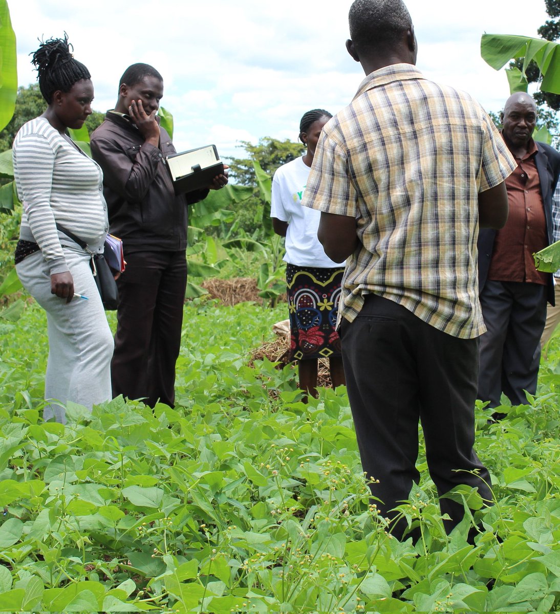 farm_kiosk's tweet image. Celebrating 🎉🎈 half a decade of resilience and agility  in the agribusiness space, some of our best lessons.

#Lesson5: Financial capital is the life-blood of  farming communities if the blood isn&apos;t circulating, they don&apos;t flourish, blood hasn&apos;t been circulating for long 📍📌
