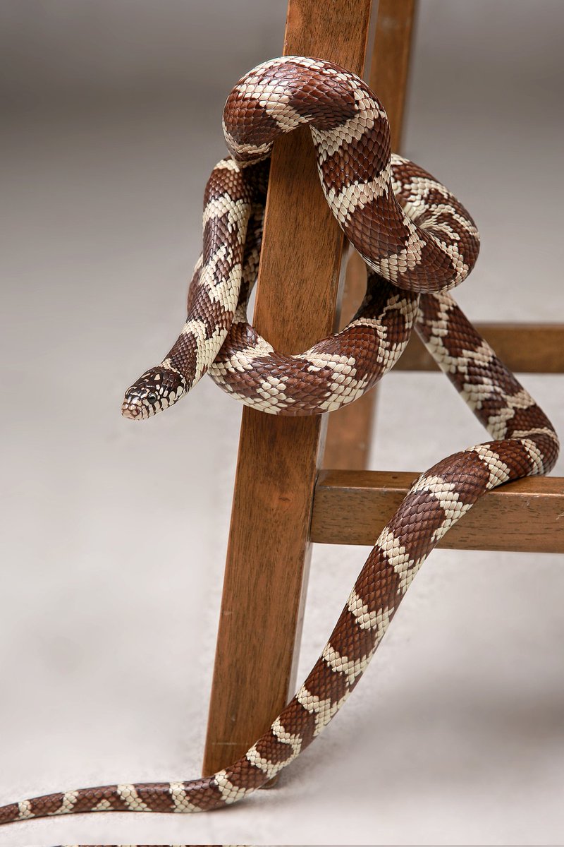 엘피스 화보 촬영 🥰