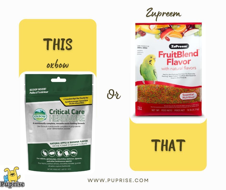 The more you feed the birds during nesting season, the less time the parents will need to stay away from the nest foraging for food. Check @Puprise for both brand Bird food for better health & joy!!!!!! #Puprise #petstore #petparents