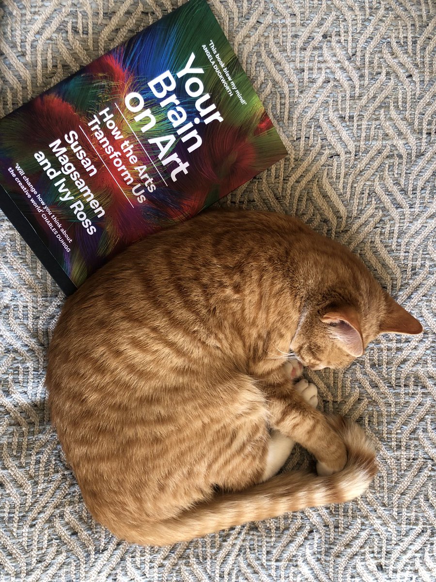 Susie Hall tweet media