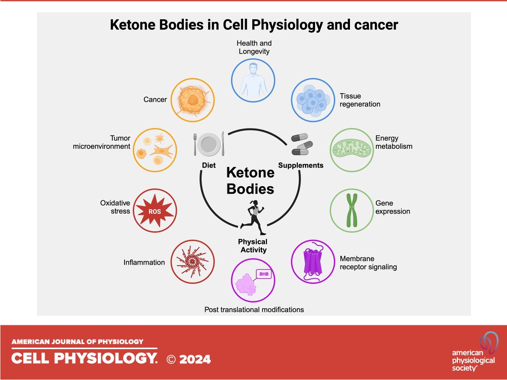 Ketone bodies in cell physiology and cancer Giacomo Giuliani and @ProfValterLongo 'Here, we explore the impact of KBs on mammalian cell physiology, including aging and tissue regeneration. We also concentrate on KBs and cancer, given the extensive evidence that dietary
