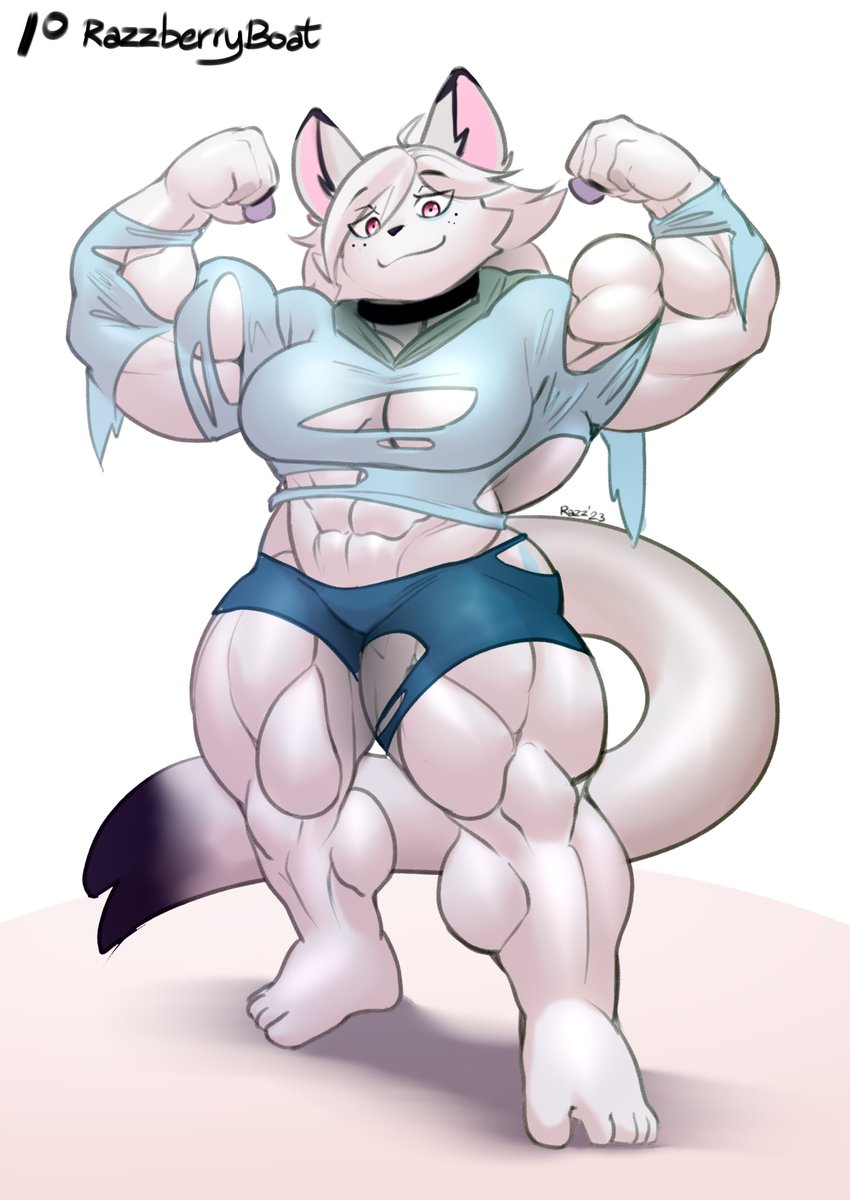 She smol but she stronk

CMS for KayohPlums