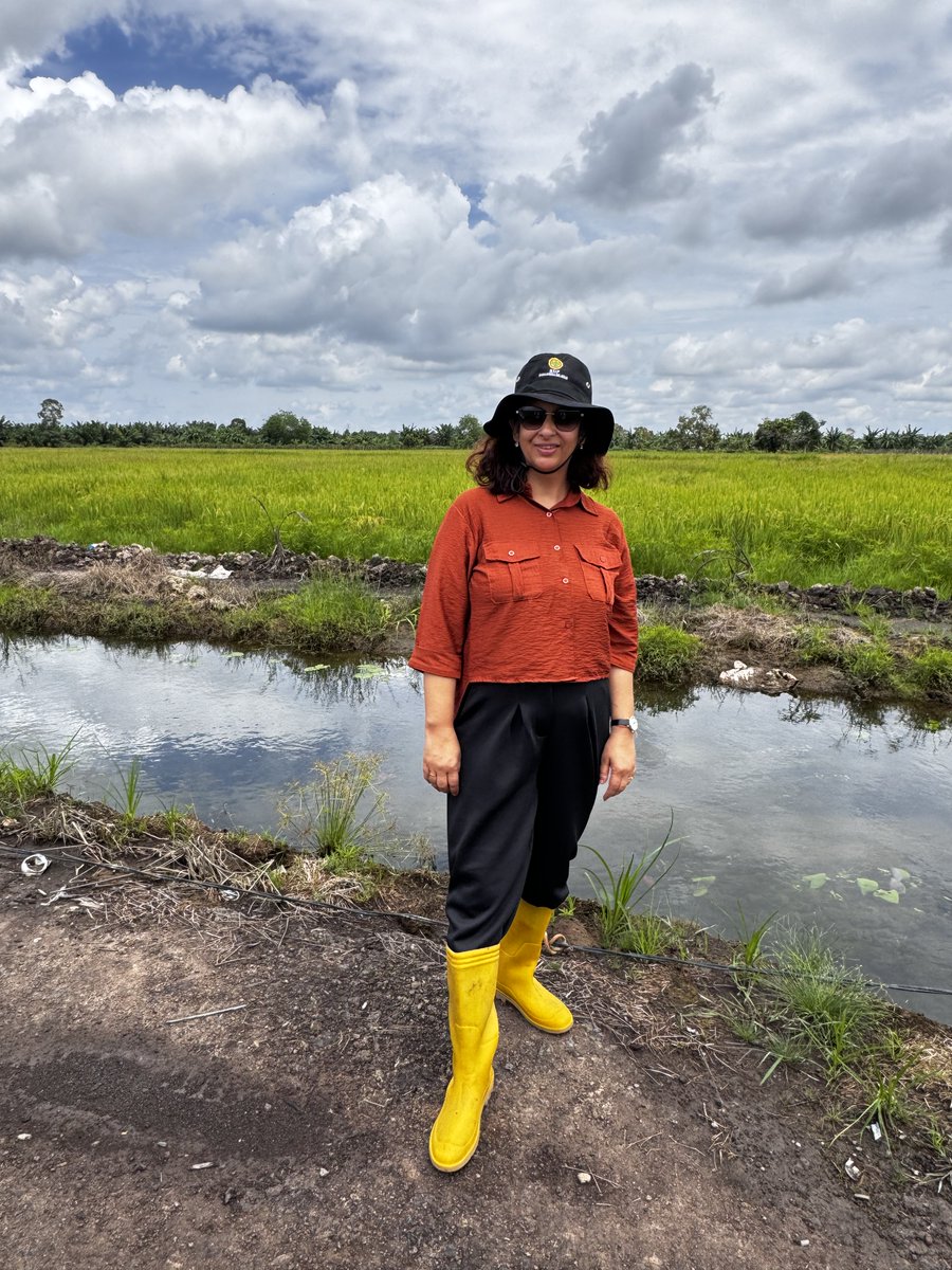 sheetal_irri's tweet photo. Visited omission plot experiments established in Type B &amp; C swampy areas of South Sumatra #ricecropmanager. Engaging with farmers and observing the ongoing progress @bsipkementan @CGIAR @irri #SustainableRiceProduction   Project Funded by @mafrakorea https://t.co/UUeehEZHRz